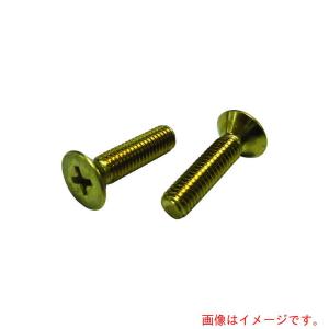 【在庫処分】【メール便対応】コノエ（KONOE）　皿小ねじ　真鍮　３×８　【品番：FLATSS-BR-38】