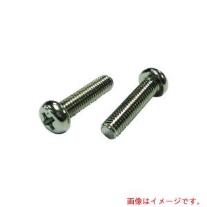 【在庫処分】【メール便対応】コノエ（KONOE）　ナベ小ねじ　真鍮　ニッケル　２×５　【品番：PANSS-BR-NI-25】