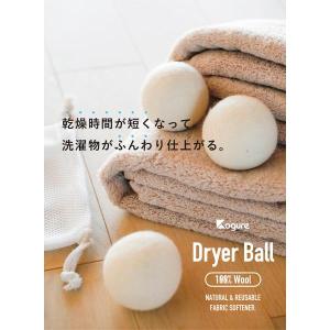 【在庫処分】シービージャパン ドライヤーボール...の詳細画像1