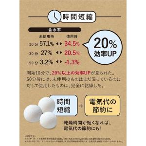 【在庫処分】シービージャパン ドライヤーボール...の詳細画像3