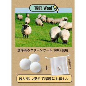 【在庫処分】シービージャパン ドライヤーボール...の詳細画像5