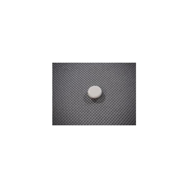 【メール便対応】タカラスタンダード　穴ふさぎキャップ（クリスタルホワイト色）　ネジアナキャップCW　...