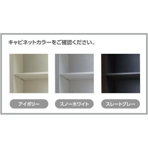 LIXIL(サンウェーブ) 棚板セット(キッチ...の詳細画像1