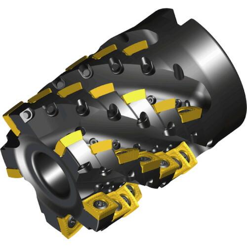 NTKカッティングツールズ　TAEGUTEC　シェルミル　チェイスＶクアッド　３２枚刃　【品番：4S...