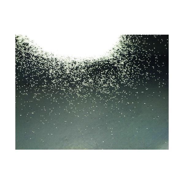 ホーザン（HOZAN）　研磨材　＃８０　【品番：SG-116】