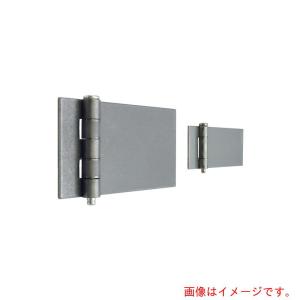 ジョー・プリンス竹下 鉄平蝶番 50mm 【品番...の商品画像