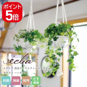 【在庫限りの年末特別価格】キシマ エクリア 消臭...の商品画像