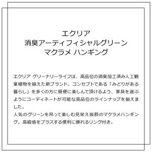 【在庫限りの年末特別価格】キシマ エクリア 消...の詳細画像1