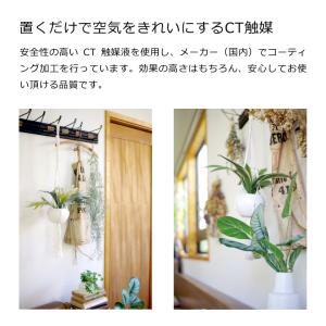 【在庫限りの年末特別価格】キシマ エクリア 消...の詳細画像2