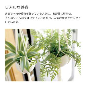 【在庫限りの年末特別価格】キシマ エクリア 消...の詳細画像3