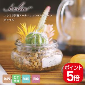 【在庫限りの年末特別価格】キシマ エクリア 消臭アーティフィシャルグリーン カラフル 人工観葉植物 CT触媒 フェイクグリーン