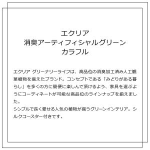 【在庫限りの年末特別価格】キシマ エクリア 消...の詳細画像1