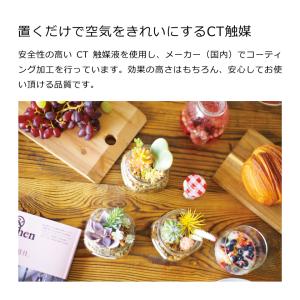 【在庫限りの年末特別価格】キシマ エクリア 消...の詳細画像2