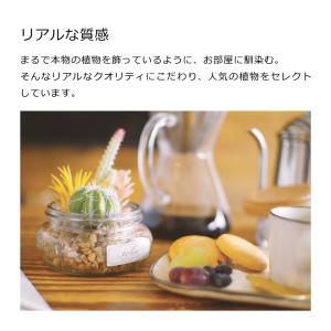 【在庫限りの年末特別価格】キシマ エクリア 消...の詳細画像3