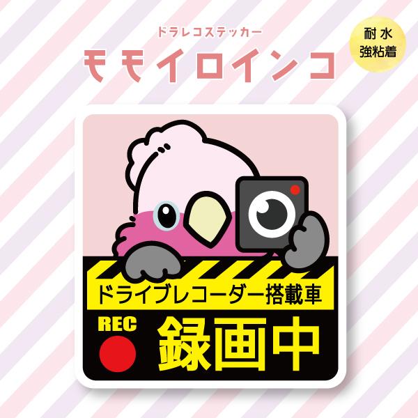 ドラレコステッカー モモイロインコ ドラレコ 録画中 搭載 前後 カメラ 鳥 可愛い かわいい