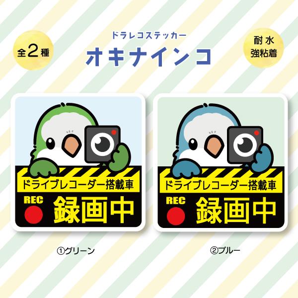 ドラレコステッカー オキナインコ ドラレコ 録画中 搭載 前後 カメラ 鳥 可愛い かわいい