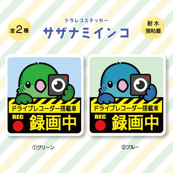 ドラレコステッカー サザナミインコ ドラレコ 録画中 搭載 前後 カメラ 鳥 可愛い かわいい