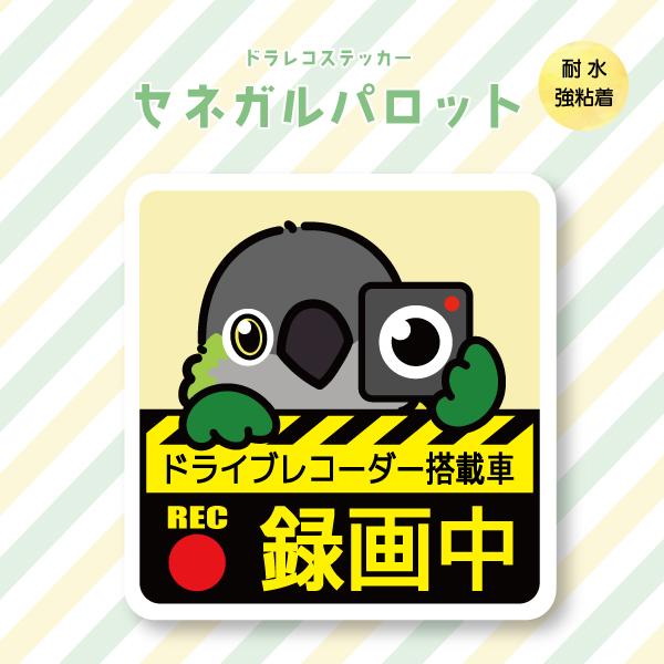 ドラレコステッカー セネガルパロット ドラレコ 録画中 搭載 前後 カメラ 鳥 可愛い かわいい
