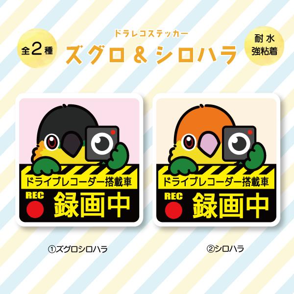 ドラレコステッカー ズグロ・シロハラ ドラレコ 録画中 搭載 前後 カメラ 鳥 可愛い かわいい