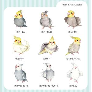 オカメインコの防水ステッカー|ミニサイズの商品画像