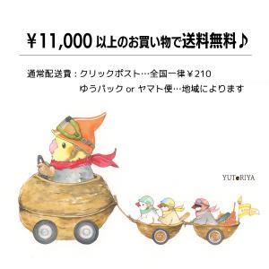 オカメインコの防水ステッカー|ミニサイズの詳細画像4