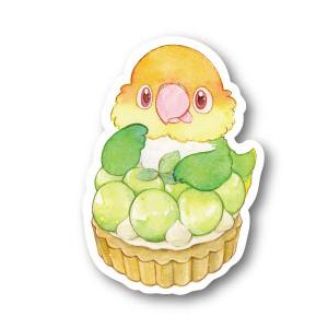 ステッカーＭサイズ マスカットタルトシロハラ 防水 耐水 強粘着 インコ フィンチ sticker ...