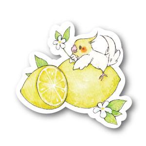 ステッカーＭサイズ レモンオカメ 防水 耐水 強粘着 インコ フィンチ sticker 鳥 可愛い ...