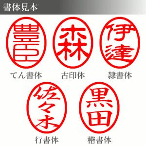 訂正印 印鑑 はんこ 黒水牛 6mm 小判型 ...の詳細画像1