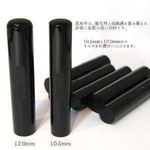 訂正印 認印 2本セット 黒水牛 印鑑 はんこ...の詳細画像1