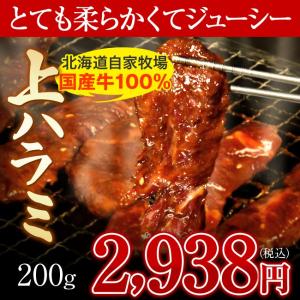 バーベキュー BBQ 肉 焼肉 焼き肉 国産 牛 上ハラミ ...