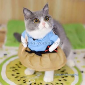 犬 二足歩行 服の商品一覧 通販 Yahoo ショッピング