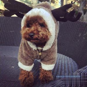 犬用着ぐるみの商品一覧 通販 Yahoo ショッピング