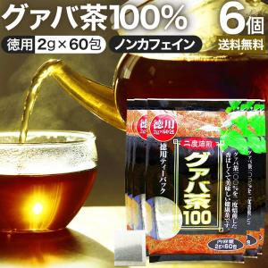 グァバ グァバ茶 グアバ グアバ茶 ガバ茶 ガバちゃ 茶葉 ティーパック ティーバッグ ダイエット 2g*60包*6個セット 送料無料 宅配便｜yuukiseiyaku