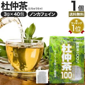 杜仲茶 とちゅう茶 茶葉 ティーパック ダイエット ダイエット食品 ハーブティー ティーバッグ 3g*40包 送料無料 宅配便｜yuukiseiyaku