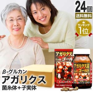 水溶性 アガリクス DX ( 90g （約360粒入） )/ ユウキ製薬