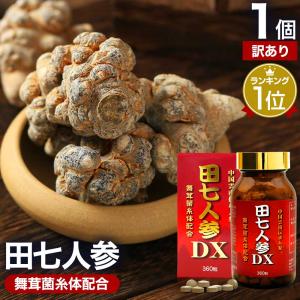 水溶性 アガリクス DX ( 90g (約360粒入) )/ ユウキ製薬 水溶性 アガリクス DX ( 90g (約360粒入) )/ ユウキ製薬
