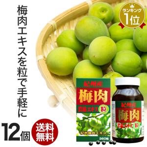 男梅 粒の商品一覧 通販 Yahoo ショッピング