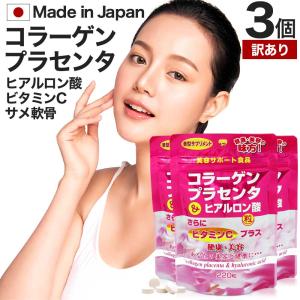 2個セット/計600粒】 SC JAPAN エスシージャパン アジャスティー 