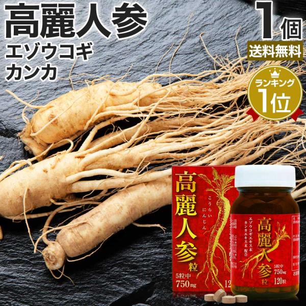 高麗人参 高麗人参サプリ にんじん 朝鮮人参 エゾウコギ ウコギ エキス カンカ サプリ 120粒 ...
