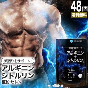 L-アルギニン Lアルギニン アルギニン 亜鉛 ...の商品画像