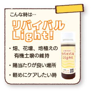 基本送料込み ピキャット・リバイバルLight...の詳細画像2