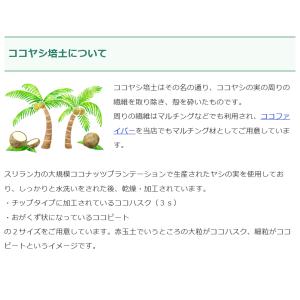 ココハスク5L ヤシガラ ハスクチップ 3sの詳細画像3