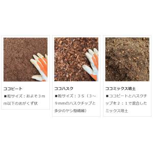 ココハスク5L ヤシガラ ハスクチップ 3sの詳細画像4