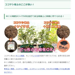 ココハスク5L ヤシガラ ハスクチップ 3sの詳細画像5