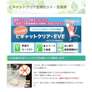 次亜塩素酸水を安全・安価に自作 ピキャットクリ...の詳細画像1