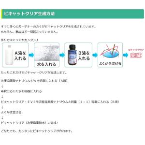 次亜塩素酸水を安全・安価に自作 ピキャットクリ...の詳細画像2