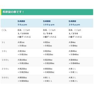 次亜塩素酸水を安全・安価に自作 ピキャットクリ...の詳細画像3