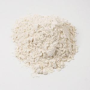 無添加 小麦グルテン オーガニック 業務用 2...の詳細画像1