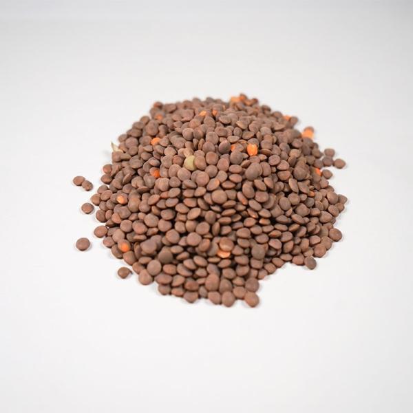 茶レンズ豆　有機JAS（無農薬・無添加） 業務用　11.33kg