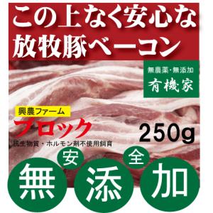 無添加ベーコンブロック２５０ｇ・冷凍配送　抗生物質・ホルモン剤不使用　自然放牧飼育豚　北海道標津興農...